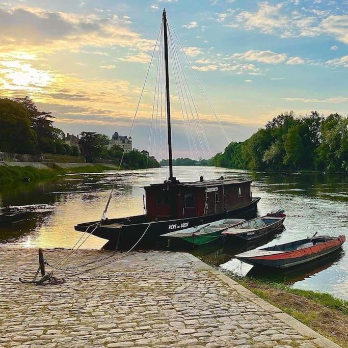 Le 20 La Loire Maison De Bord De Loire Chalonnes-sur-Loire Buitenkant foto